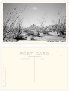 Black & White Postcard Subscription